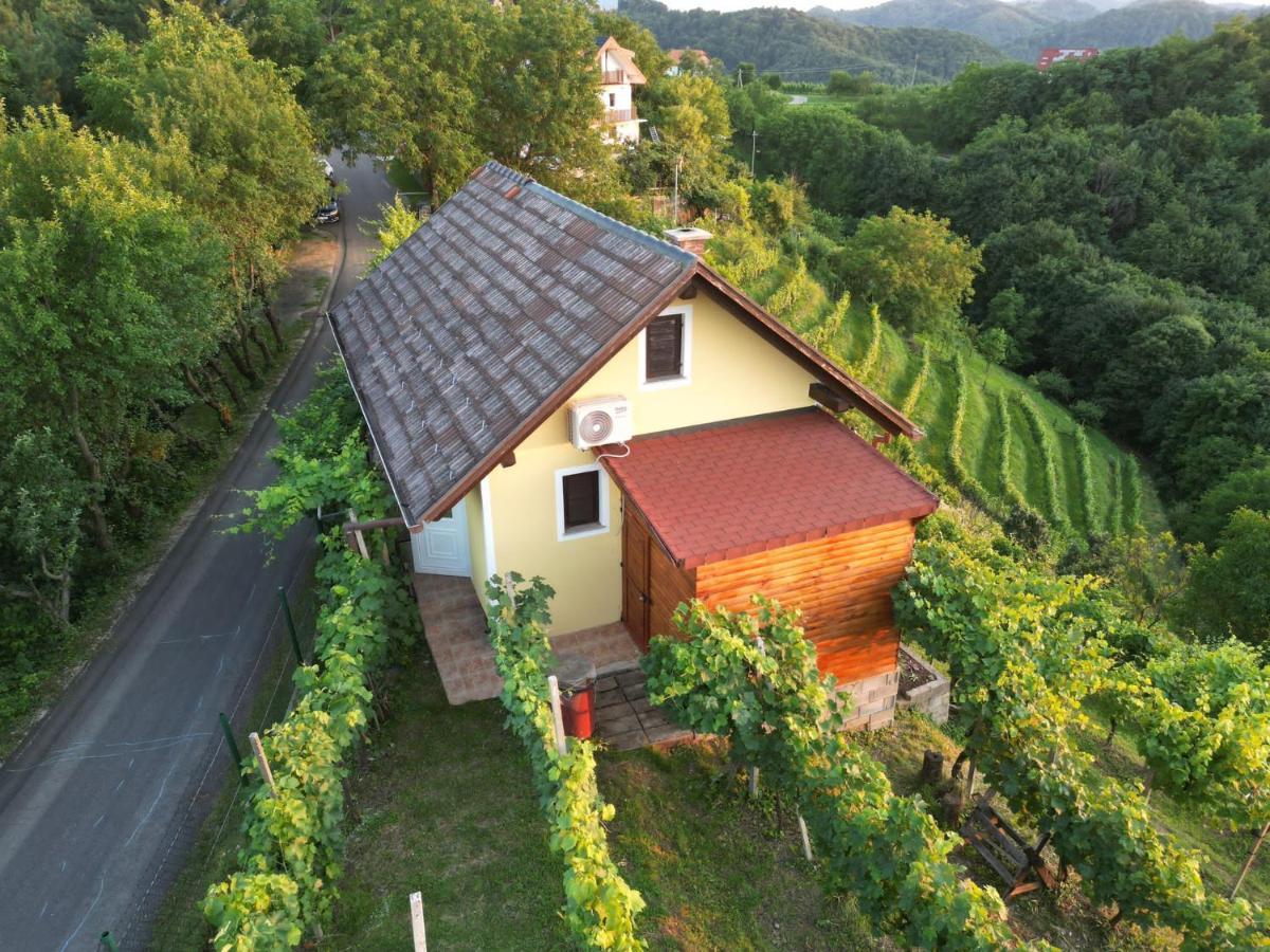 Adorable Guesthouse In The Middle Of Vineyards Ptujska Gora Dış mekan fotoğraf